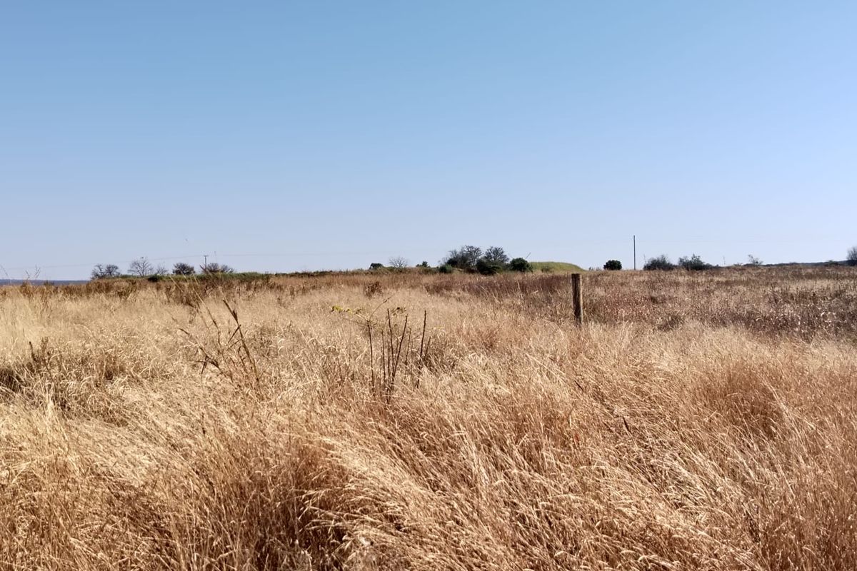 A wide-angle view of the open farm landscape featuring dry grass fields under a clear blue sky.