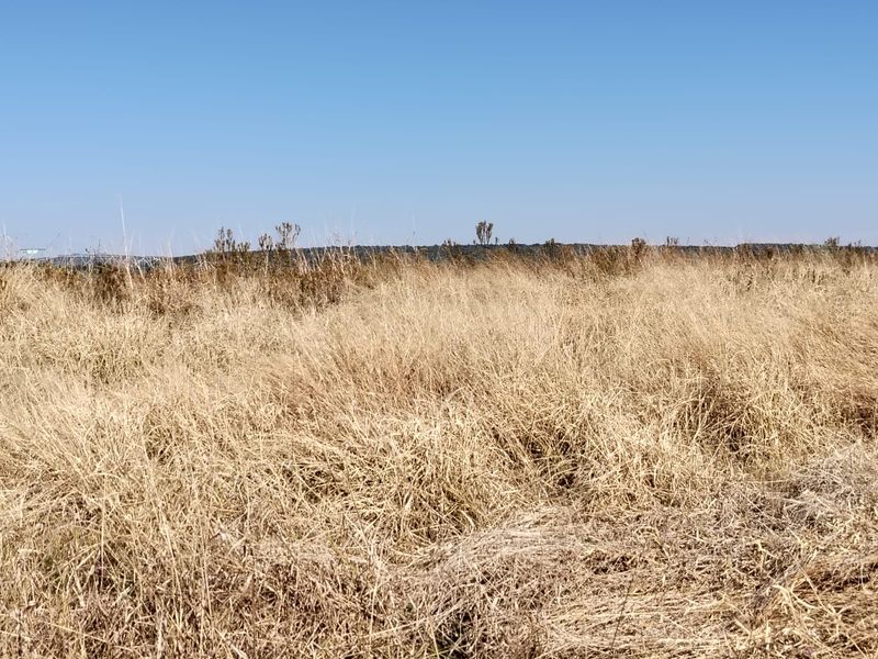 Expansive view of the open farm landscape featuring natural dry grassland under a clear blue sky.