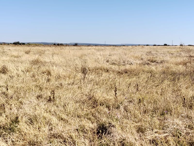 An expansive view of open, dry grassland typical of the farm landscape under a clear blue sky.