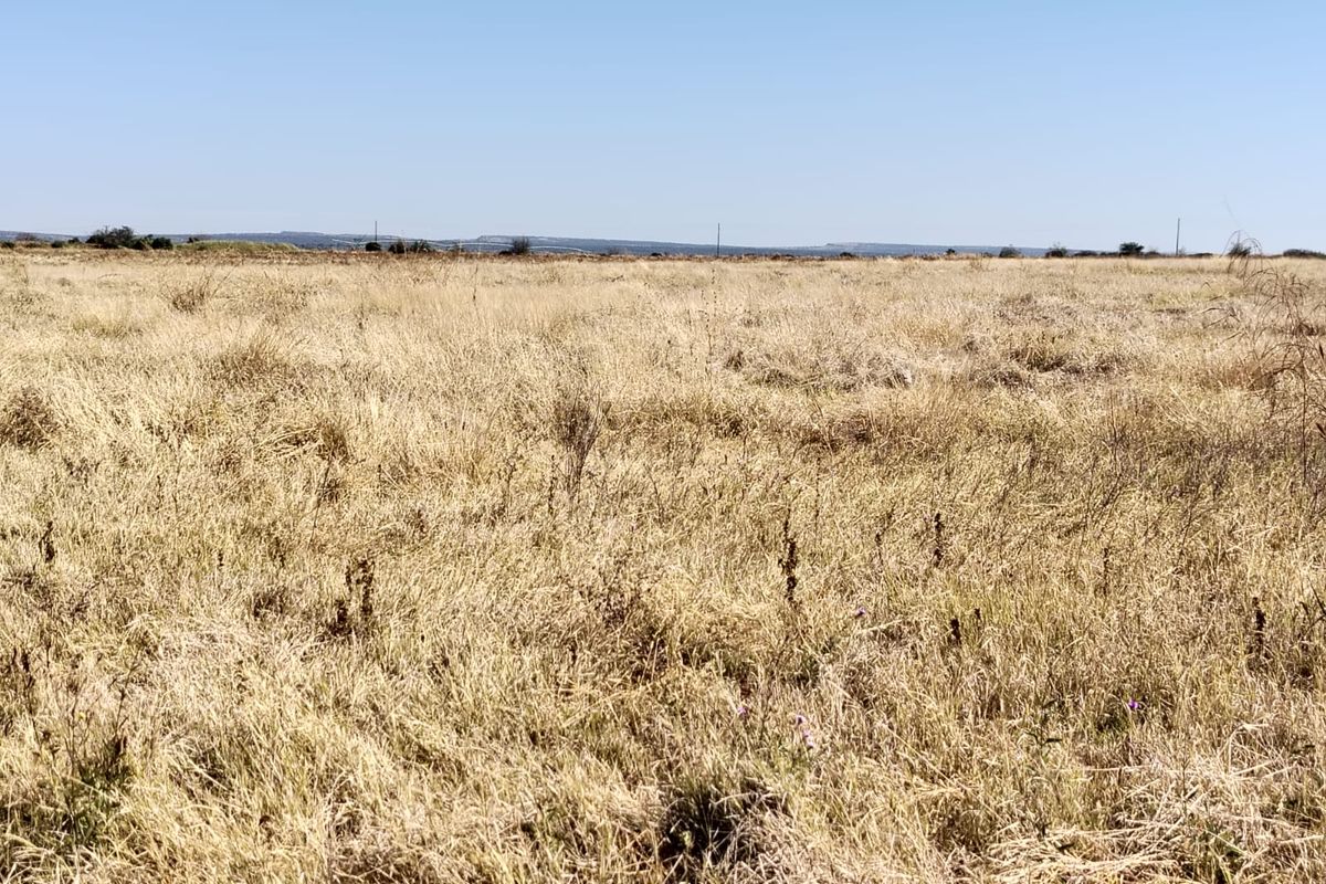 An expansive view of open, dry grassland typical of the farm landscape under a clear blue sky.