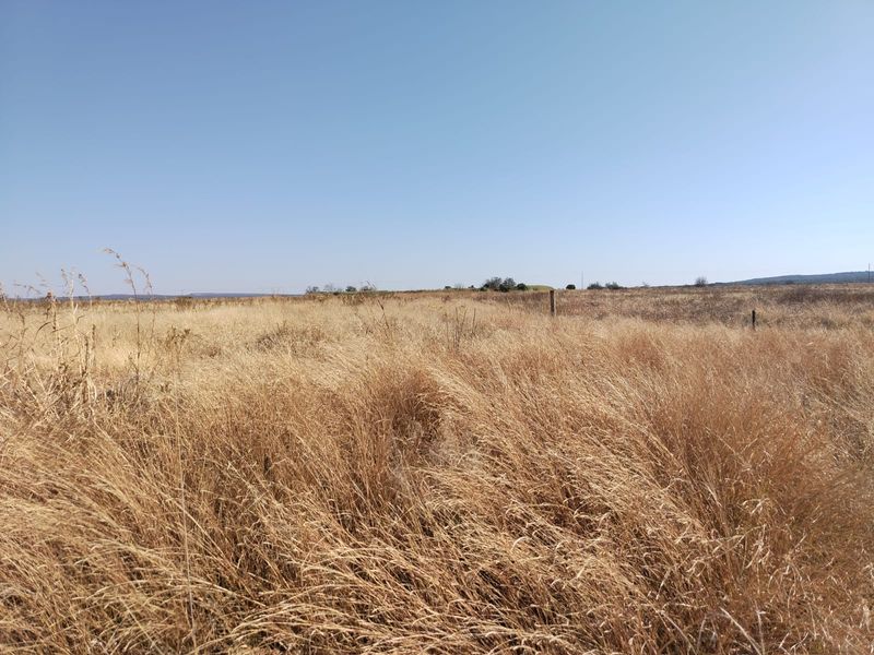 Expansive view of open farm land featuring dry grass fields and perimeter wire fencing under a clear blue sky.
