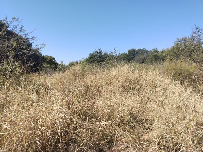 An expansive area of natural veld and indigenous vegetation on the farm property.