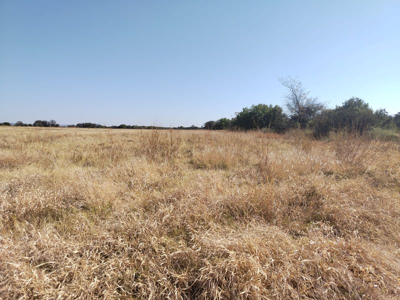 A wide-angle view of open, dry grassland on the farm property, featuring natural vegetation and mature trees in the background.