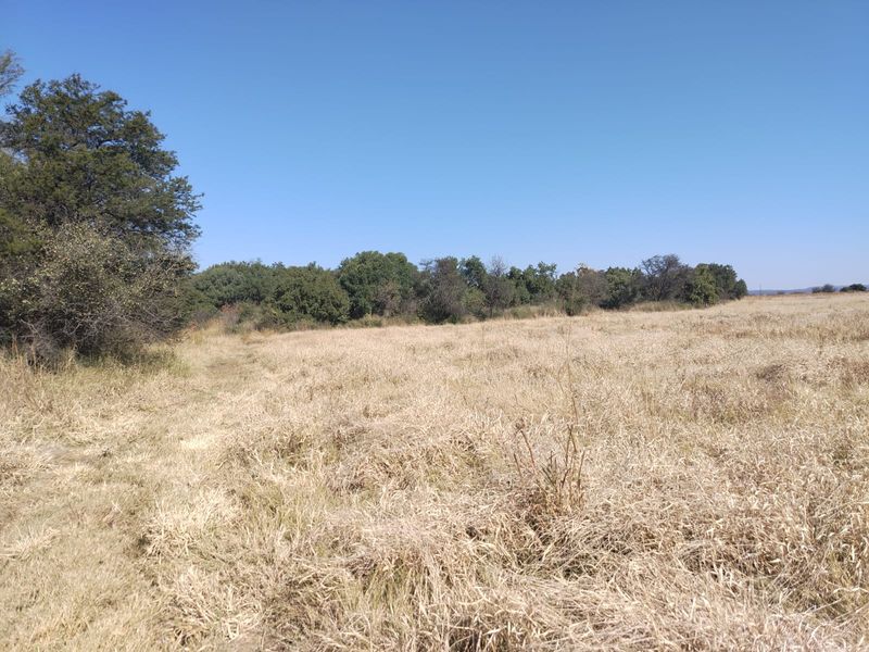 A wide-angle view of the open farm landscape featuring natural dry grassland and mature indigenous trees under a clear blue sky.