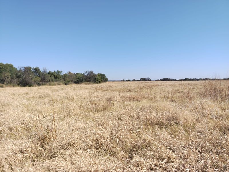 A wide-angle view of the expansive, open grassland and natural vegetation characteristic of the farm landscape.