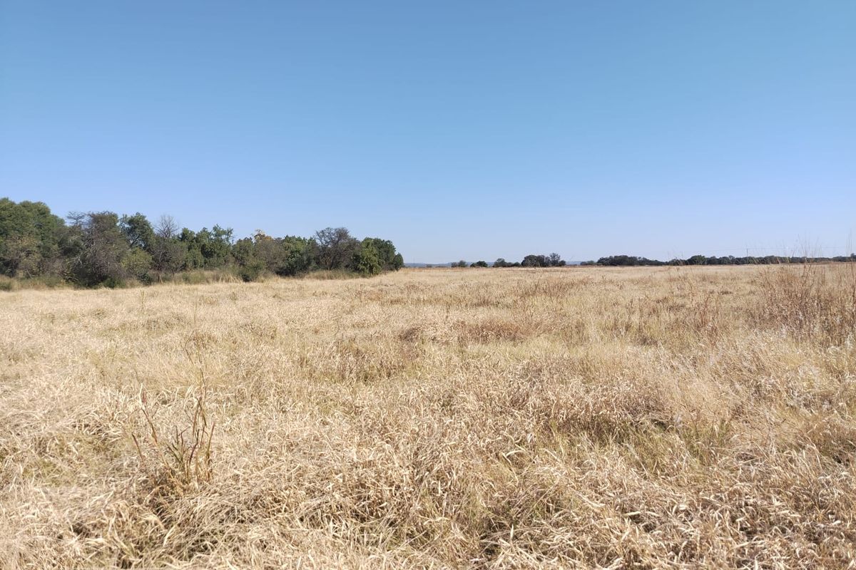 A wide-angle view of the expansive, open grassland and natural vegetation characteristic of the farm landscape.