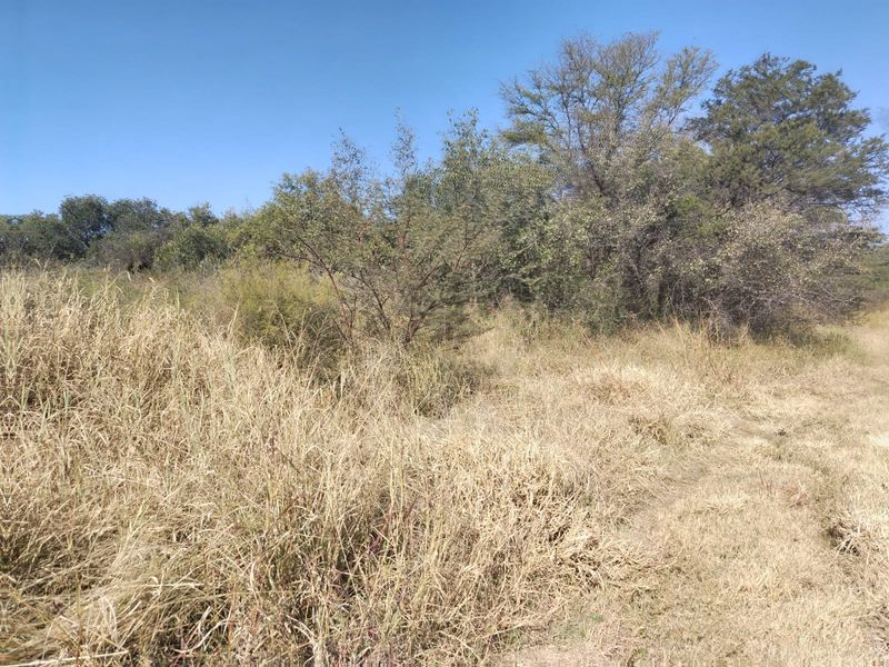 A view of the natural landscape and vegetation on the farm property.