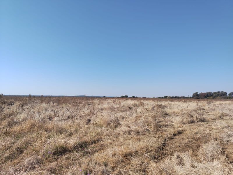 An expansive view of open, undeveloped farm land with dry grass under a clear blue sky.