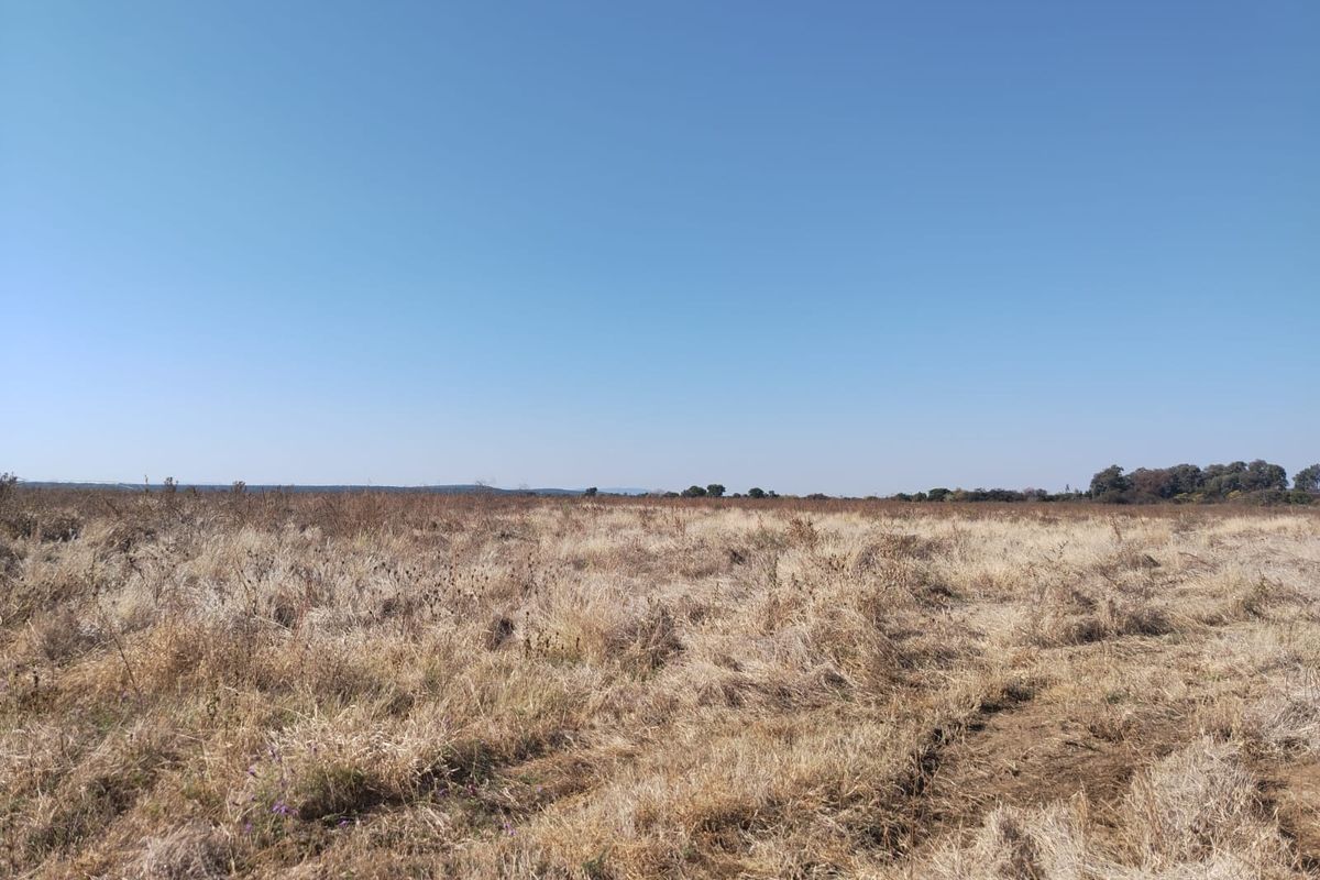 An expansive view of open, undeveloped farm land with dry grass under a clear blue sky.