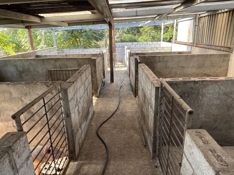 Functional agricultural utility space featuring concrete block pens with metal gates and a covered roof structure, suitable for livestock management.