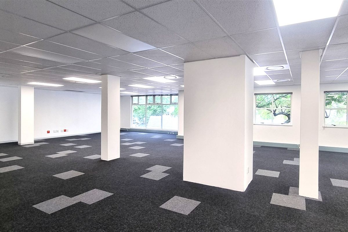 A spacious, open-plan office area featuring a suspended ceiling, recessed lighting, and modern carpet tiles, offering a bright and professional workspace.