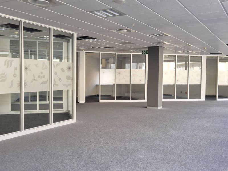 Spacious open-plan office area featuring modern glass partitioning, suspended ceilings, and neutral carpeting, providing a versatile and professional workspace environment.