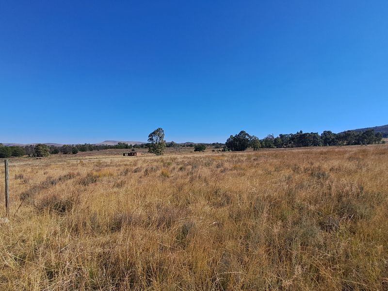 One Hectare of Land for Sale Near Heidelberg – Ideal for Investment - Photo 5