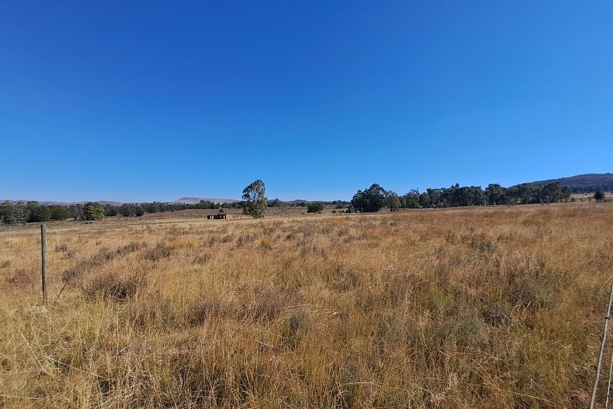 One Hectare of Land for Sale Near Heidelberg – Ideal for Investment - Photo 5