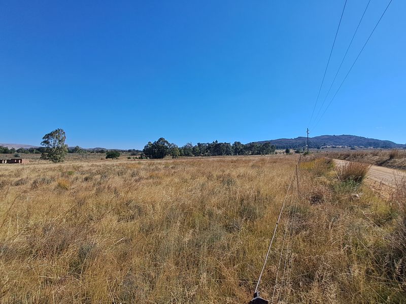 One Hectare of Land for Sale Near Heidelberg – Ideal for Investment - Photo 4