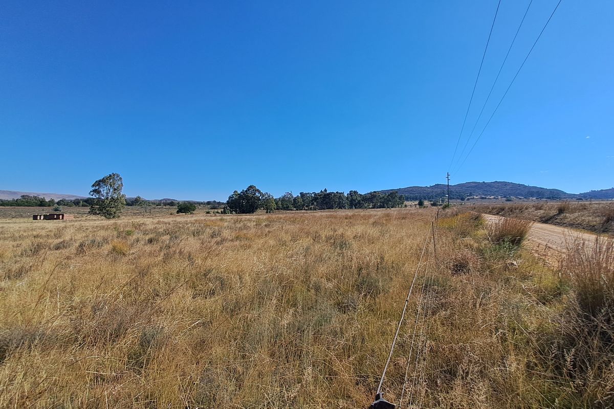 One Hectare of Land for Sale Near Heidelberg – Ideal for Investment - Photo 4