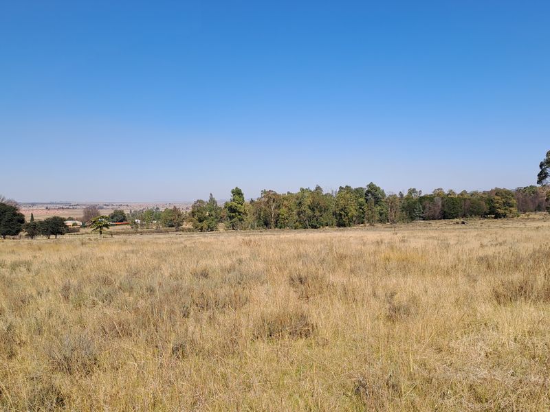 One Hectare of Land for Sale Near Heidelberg – Ideal for Investment - Photo 2