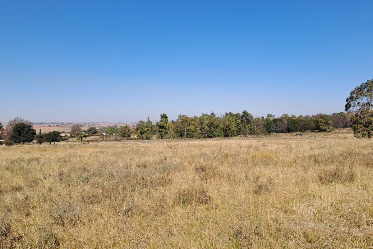 One Hectare of Land for Sale Near Heidelberg – Ideal for Investment - Photo 2