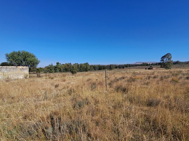 One Hectare of Land for Sale Near Heidelberg – Ideal for Investment - Photo 6