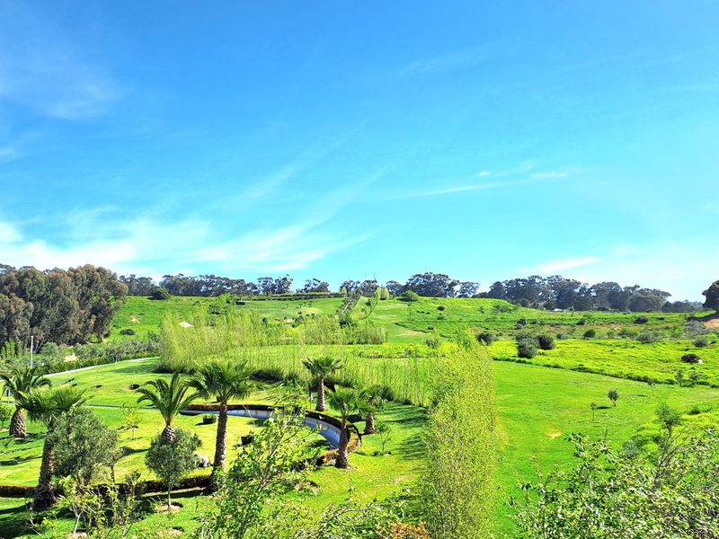 3rd Floor Office Space Available to Let in Tygervalley - Photo 5