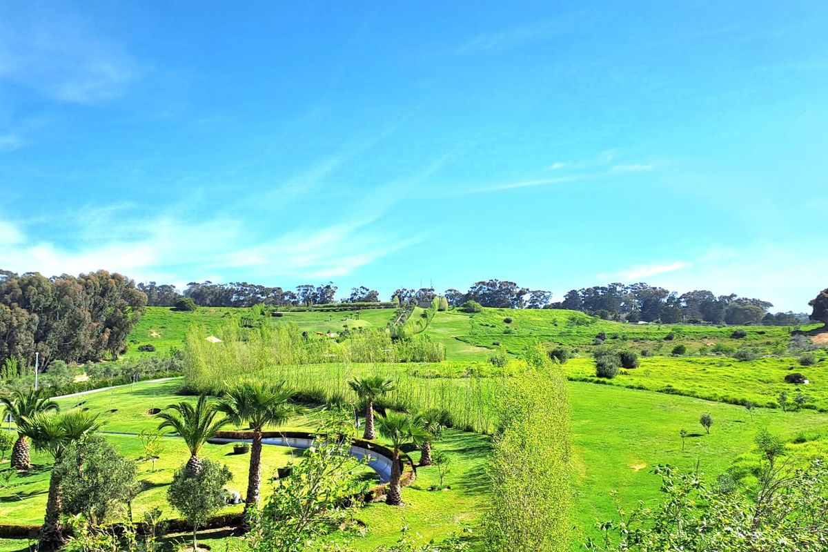 3rd Floor Office Space Available to Let in Tygervalley - Photo 5