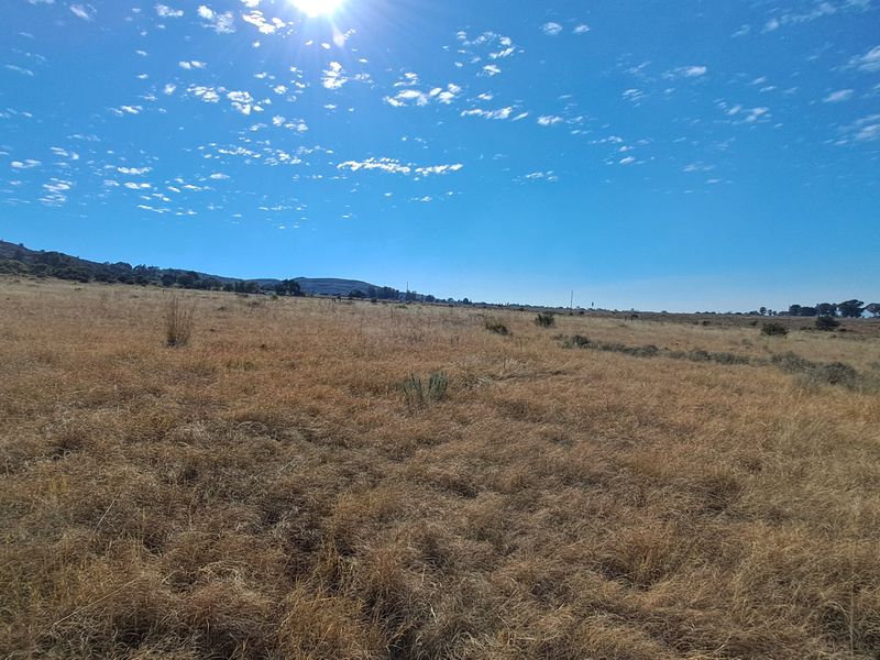 Hectare of Land for Sale Near Heidelberg – Ideal for Investment - Photo 2