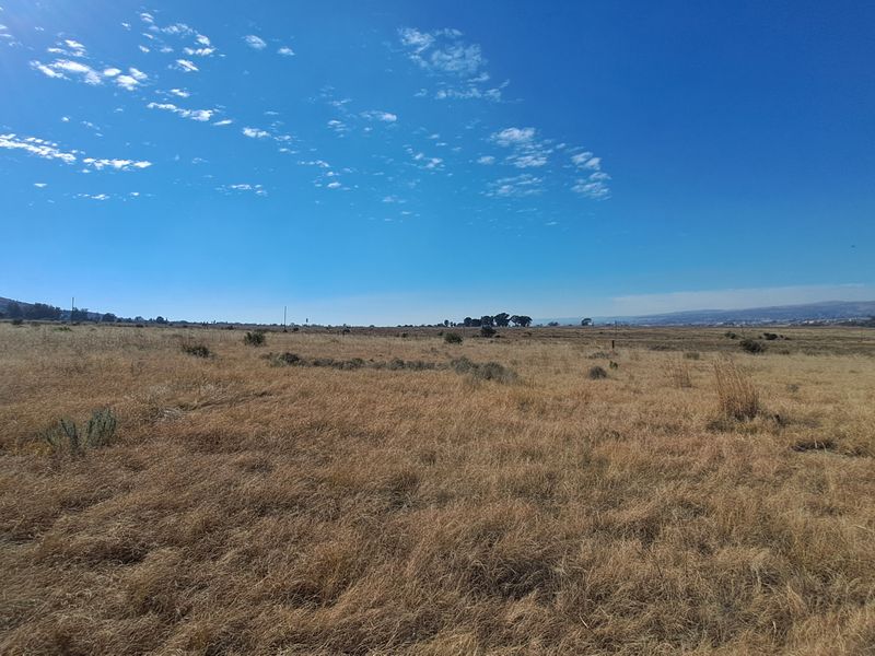 Hectare of Land for Sale Near Heidelberg – Ideal for Investment - Photo 3