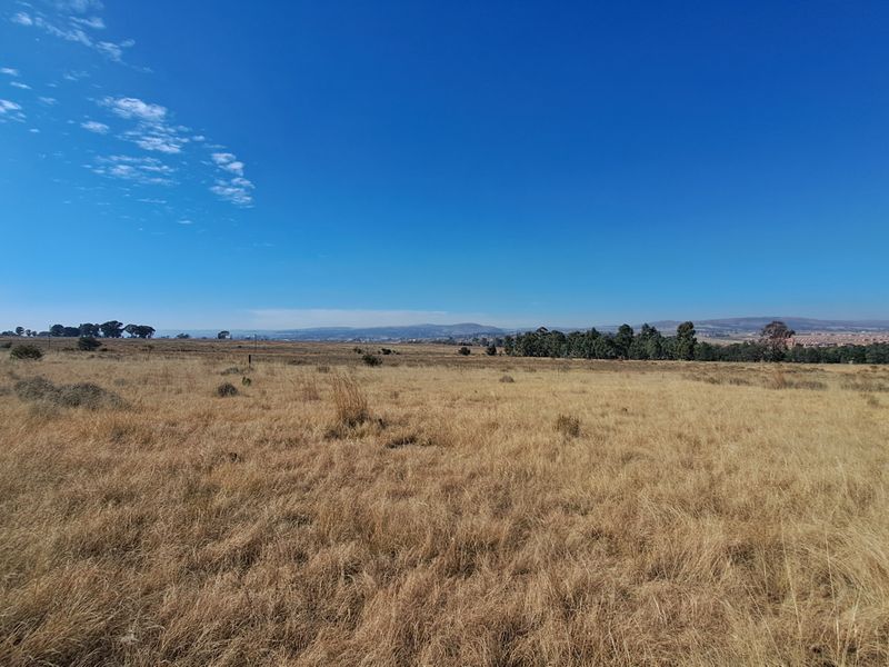 Hectare of Land for Sale Near Heidelberg – Ideal for Investment - Photo 4