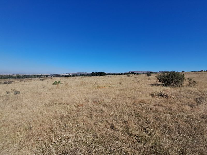 Hectare of Land for Sale Near Heidelberg – Ideal for Investment - Photo 5