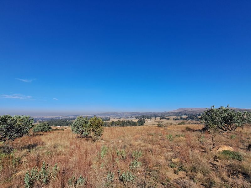 Hectare of Land for Sale Near Heidelberg - built your dream home! - Photo 5