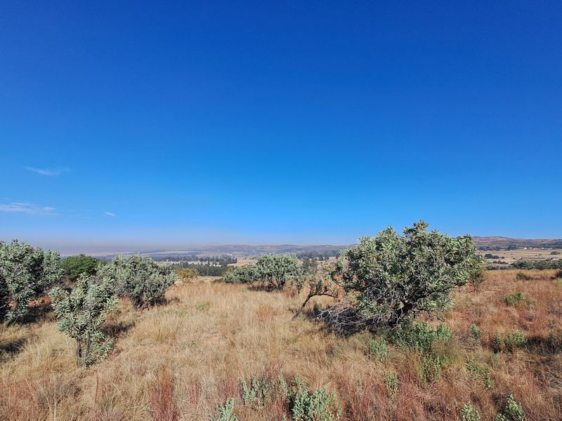 Hectare of Land for Sale Near Heidelberg - built your dream home! - Photo 2