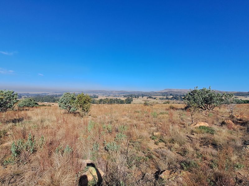 Hectare of Land for Sale Near Heidelberg - built your dream home! - Photo 4