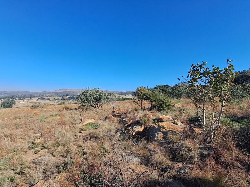 Hectare of Land for Sale Near Heidelberg - built your dream home! - Photo 3