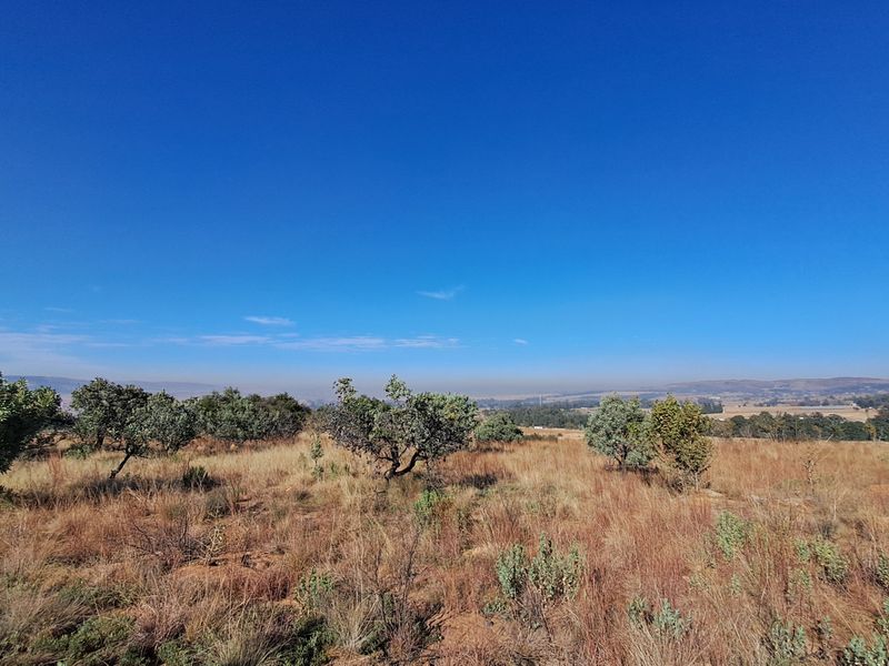 Hectare of Land for Sale Near Heidelberg - built your dream home! - Photo 6