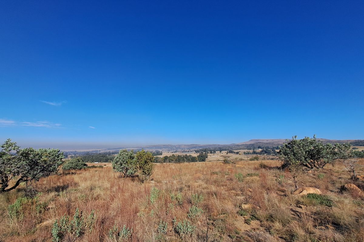 Hectare of Land for Sale Near Heidelberg - built your dream home! - Photo 5