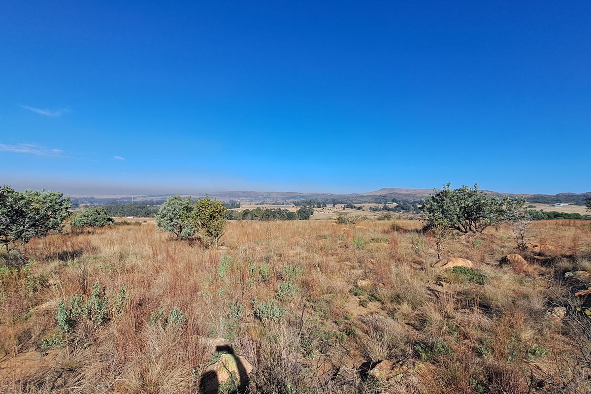 Hectare of Land for Sale Near Heidelberg - built your dream home! - Photo 4