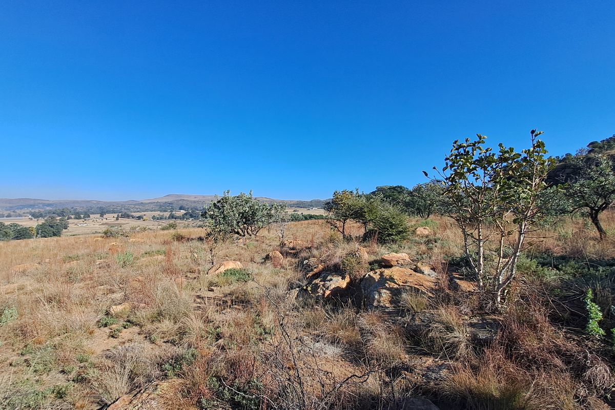 Hectare of Land for Sale Near Heidelberg - built your dream home! - Photo 3