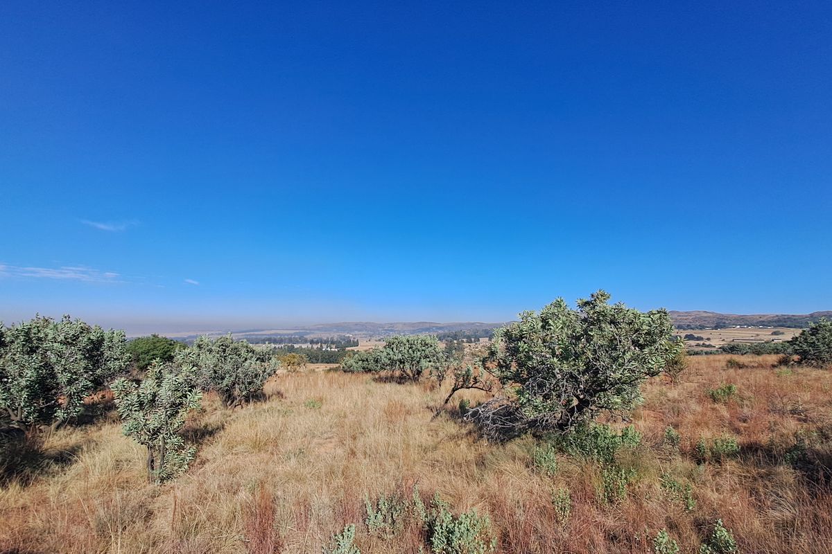 Hectare of Land for Sale Near Heidelberg - built your dream home! - Photo 2