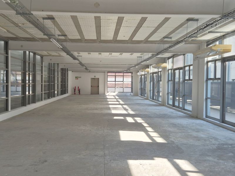 Spacious open-plan office area featuring industrial-style exposed ceilings, concrete flooring, and extensive natural light through large aluminium-framed windows.