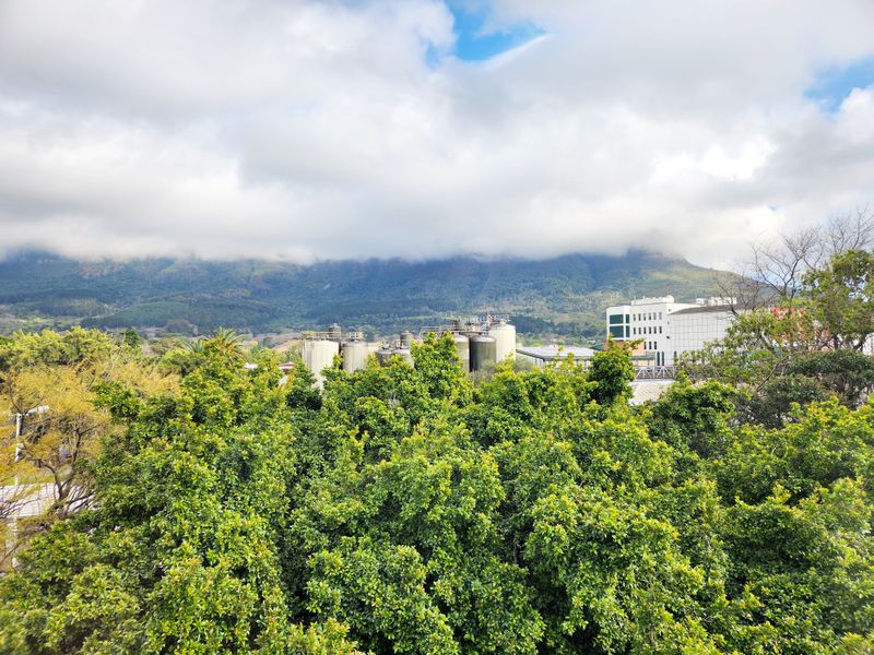 PRIME COMMERCIAL OFFICE SPACE |NEWLANDS| CAPE TOWN - Photo 5