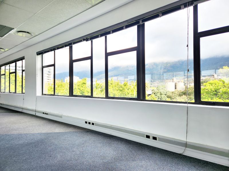 PRIME COMMERCIAL OFFICE SPACE |NEWLANDS| CAPE TOWN - Photo 4