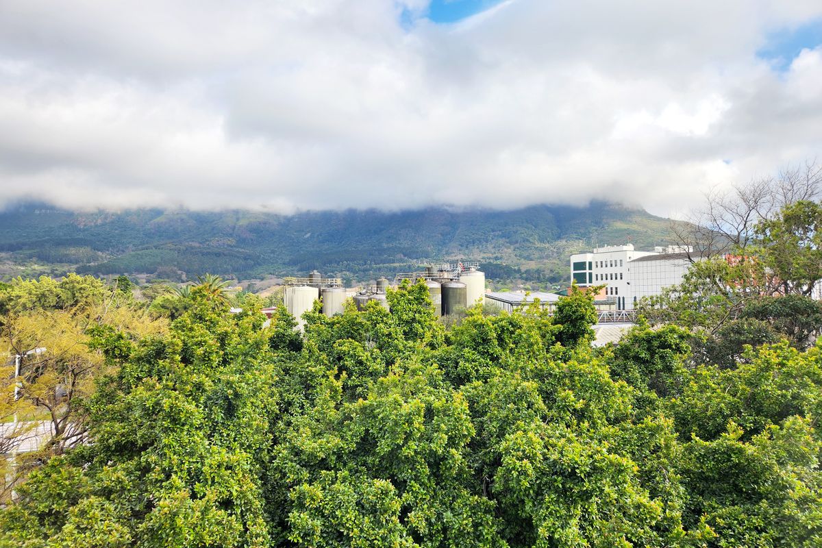 PRIME COMMERCIAL OFFICE SPACE |NEWLANDS| CAPE TOWN - Photo 5