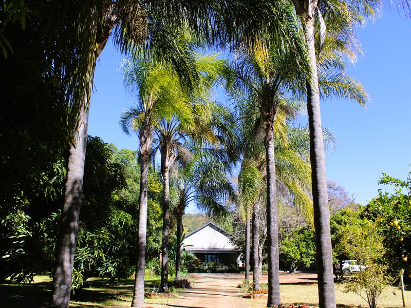 Exclusive Lifestyle Estate & Income-Generating Venue - Photo 3