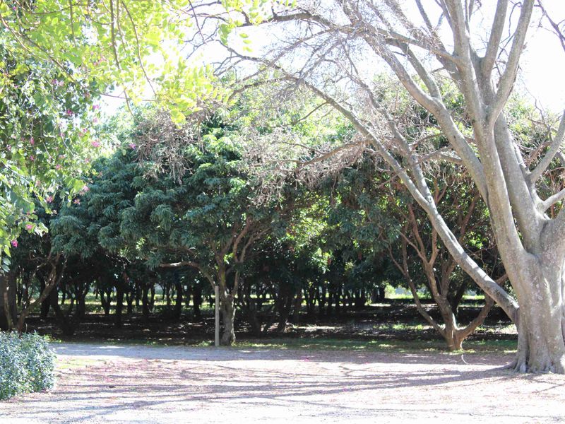 Exclusive Lifestyle Estate & Income-Generating Venue - Photo 5