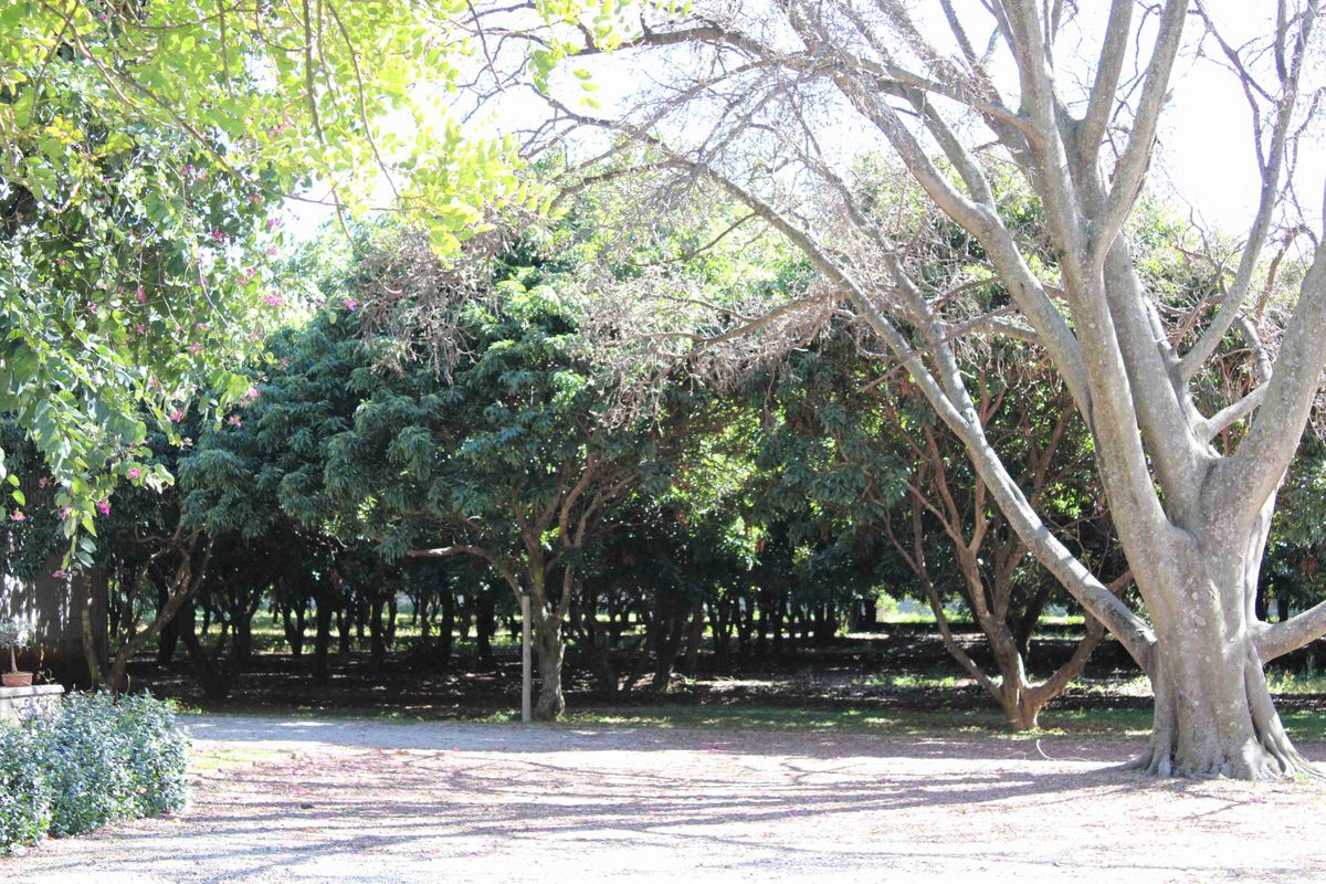 Exclusive Lifestyle Estate & Income-Generating Venue - Photo 5