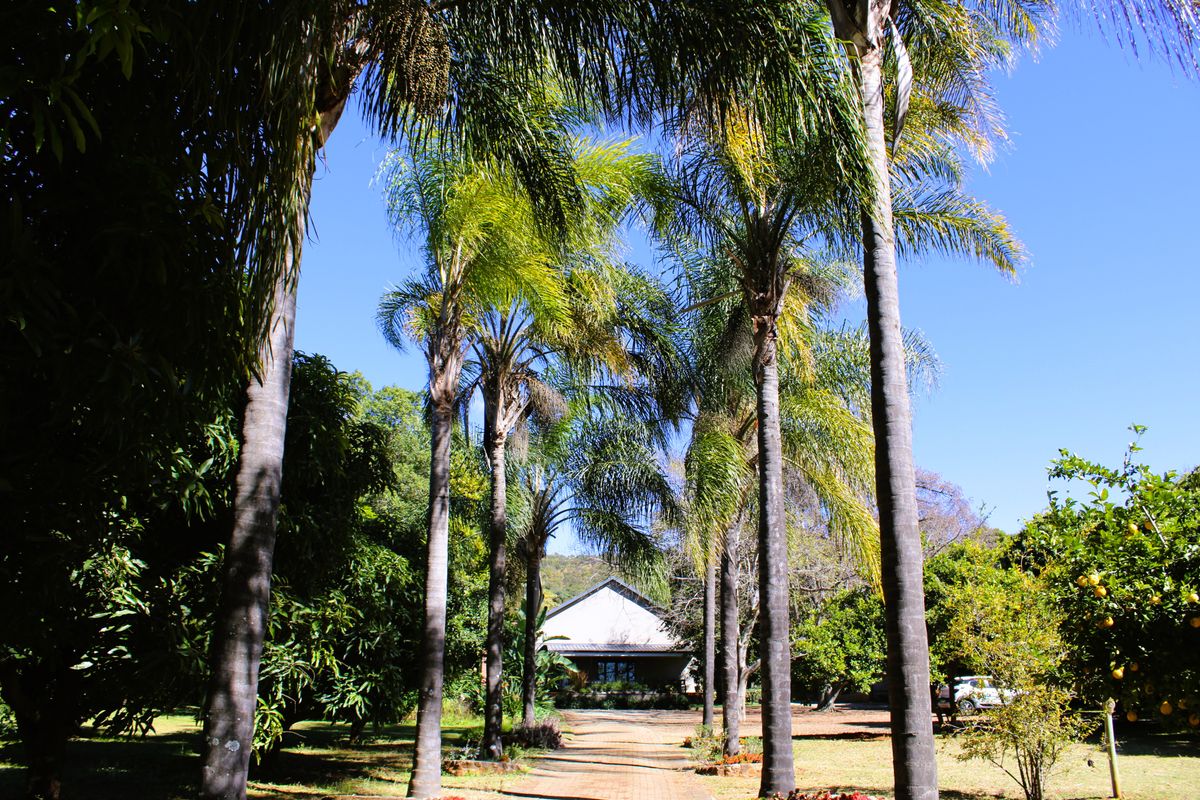 Exclusive Lifestyle Estate & Income-Generating Venue - Photo 3