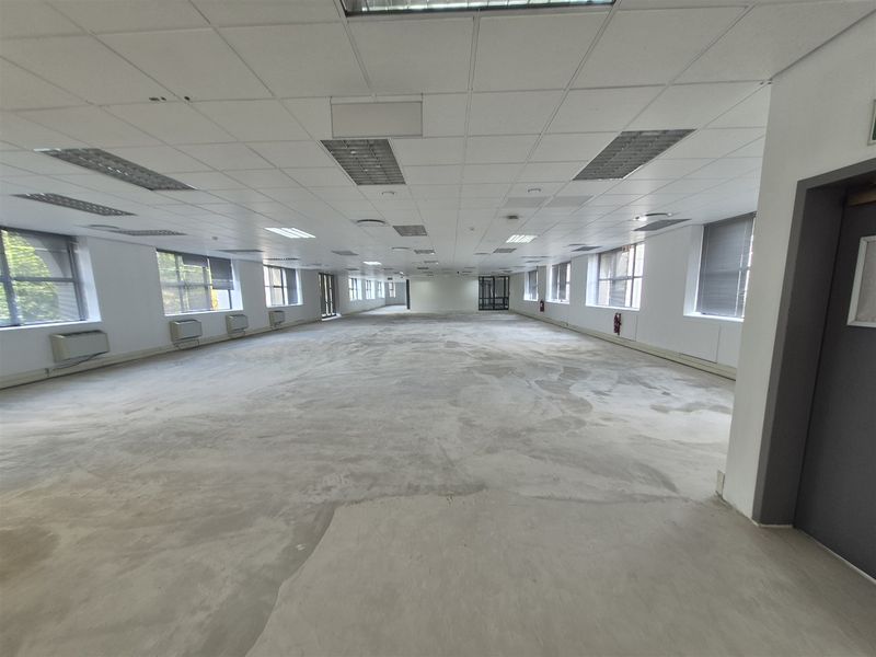 Offices to let in Illovo, Sandton - Photo 9