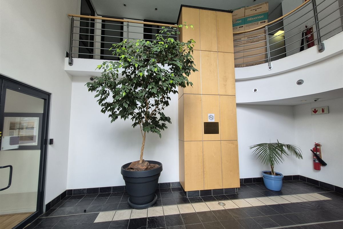 137m2 offices to let in Illovo - Photo 3