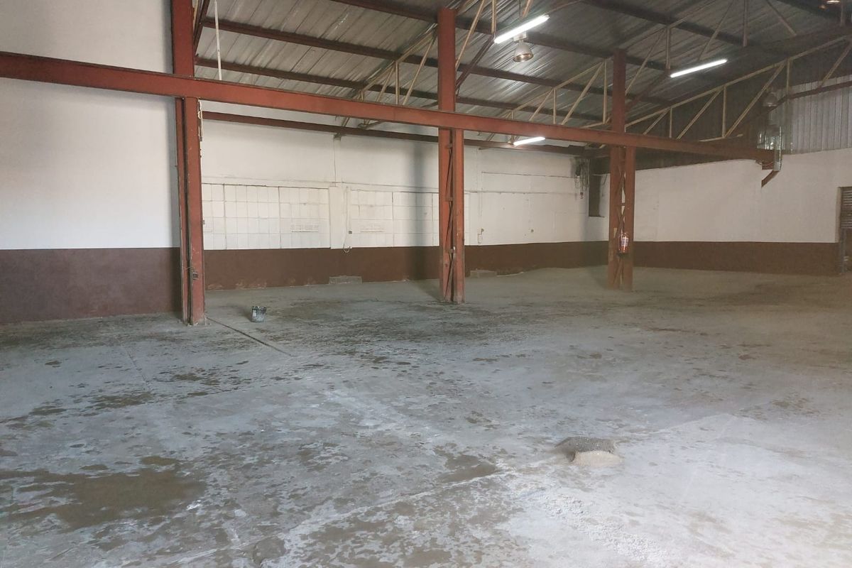 Spacious industrial warehouse featuring high ceilings, exposed steel structural beams, and durable concrete flooring, suitable for storage or manufacturing operations.