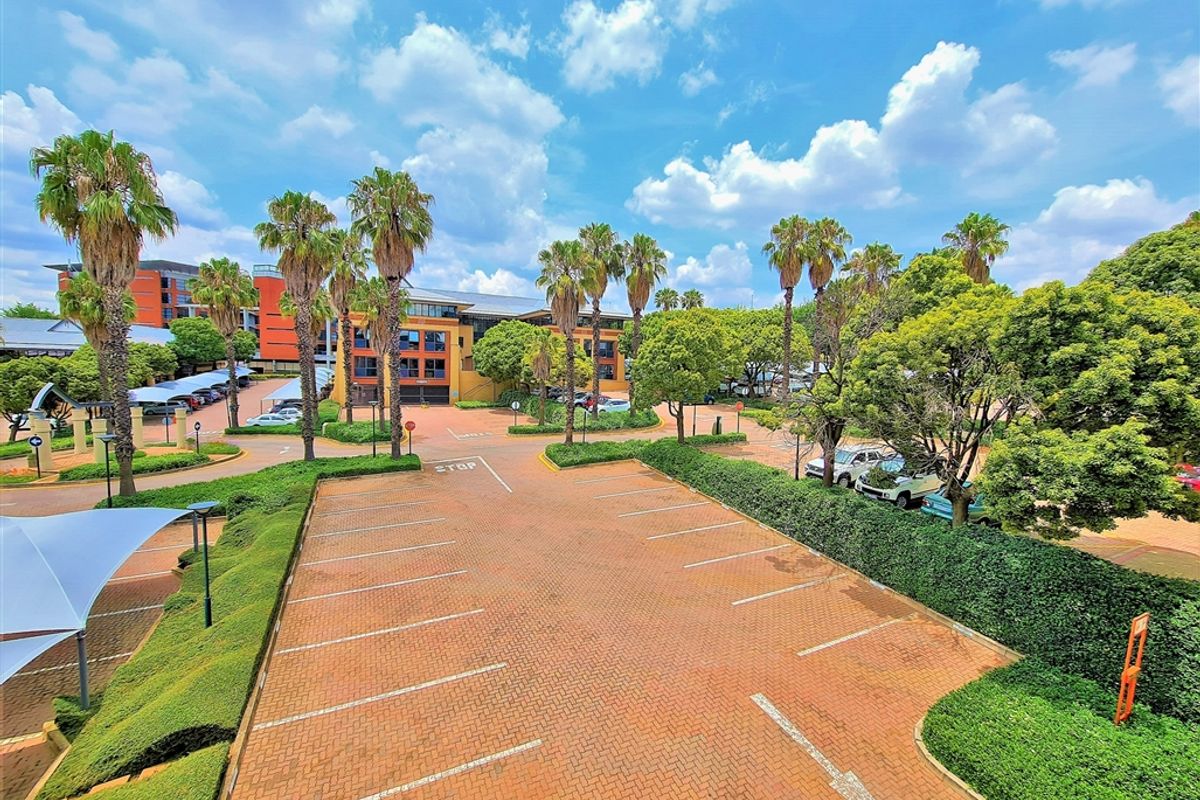 Elevated view of the office park grounds, featuring paved parking bays, landscaped gardens, mature palm trees, and surrounding commercial building facades.